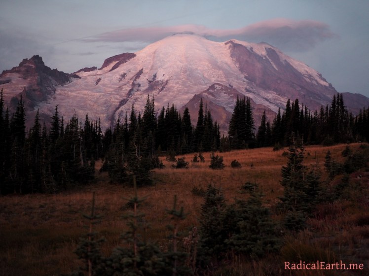 Mount Rainier At Sunrise